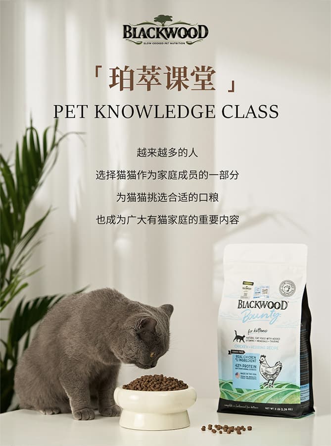China marketing - Blackwood (BrightPet)