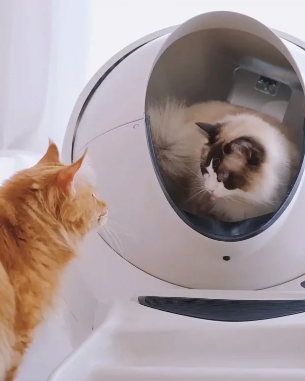 Litter robot hero